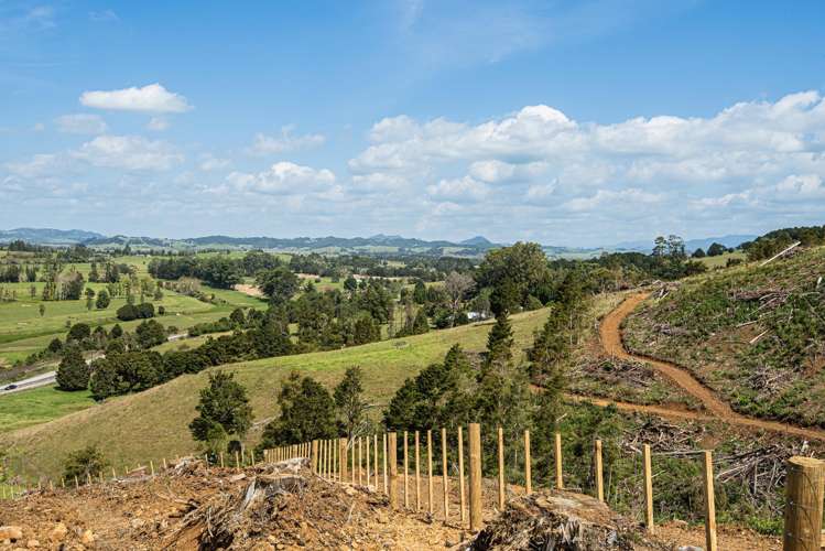 Puhipuhi Road Whakapara_6