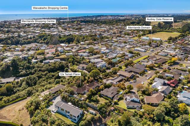 12A Tamati Place Merrilands_4