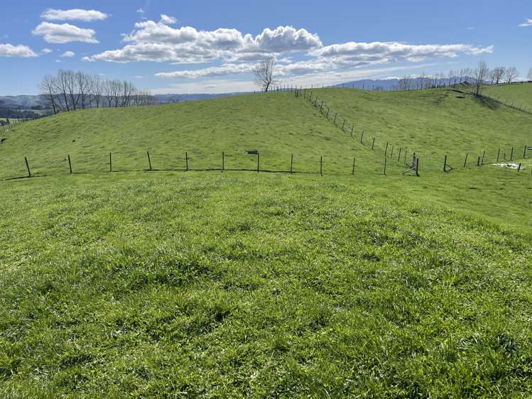 481 Honikiwi Road RD3 Otorohanga_3