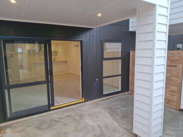 1/149 Nixon Street Hamilton East_1