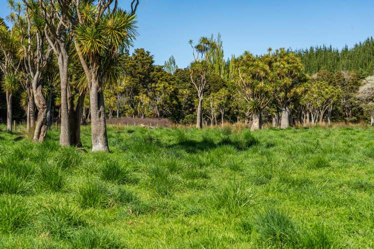 Porangahau Road Wallingford_13