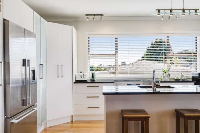 19 Coronation Avenue Pukekohe_4