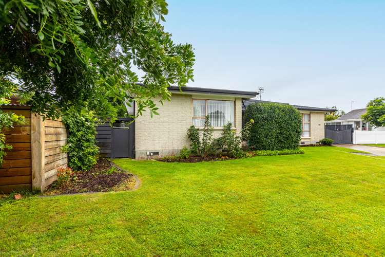 90 Freyberg Avenue Tamatea_0