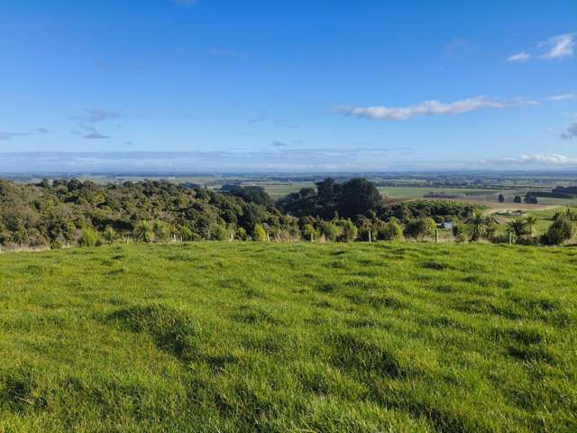 137 Kahikatea Drive Winton_3