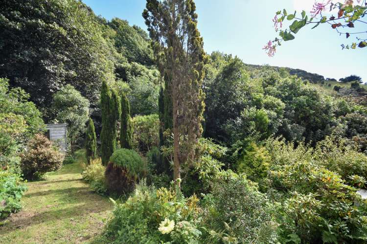 59 Harbour Terrace Careys Bay_9