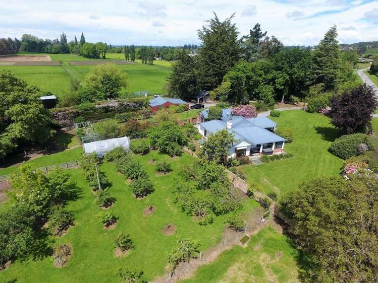 46 Templer Street Geraldine_26