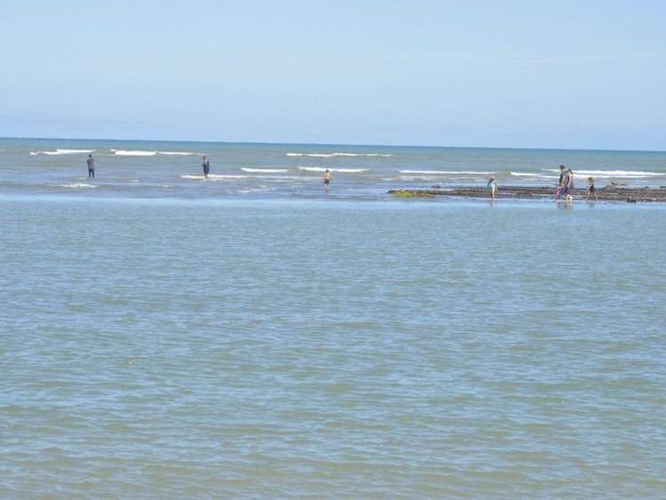 14 Drake Street Waikawa Beach_20