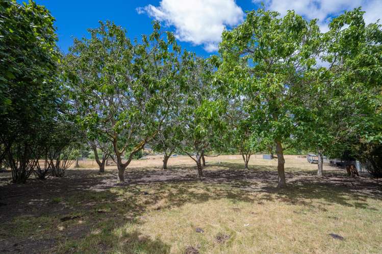 3077 Fruitlands - Roxburgh Road Roxburgh_30