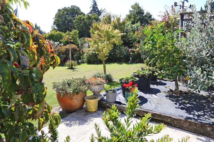 22 Palmbrook Avenue Havelock North_17