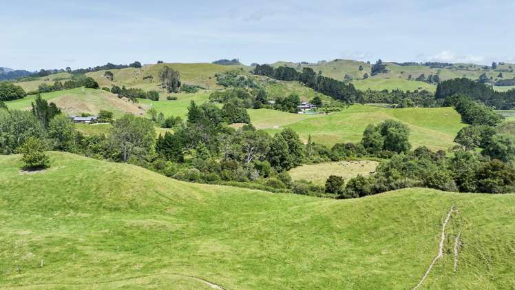 112A Puaiti Road Waikite Valley_10