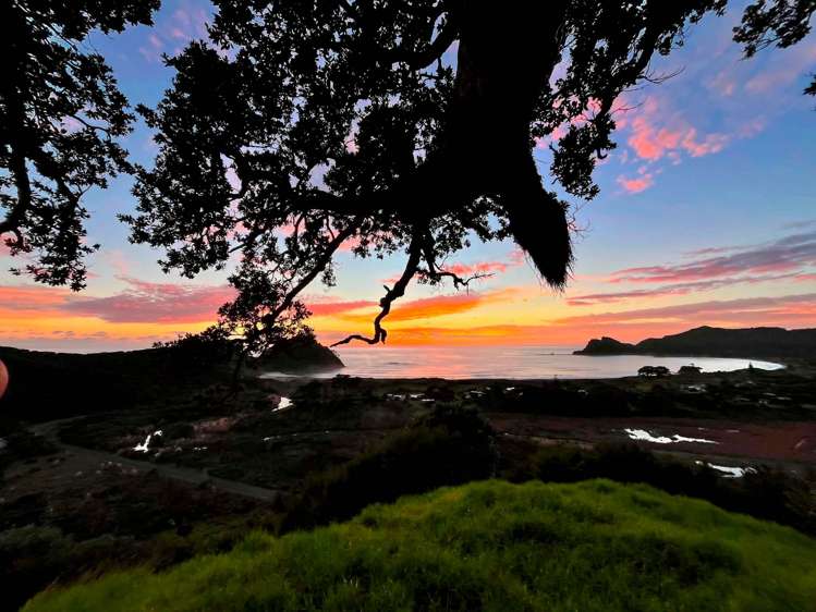 649 Medland Road Great Barrier Island_7