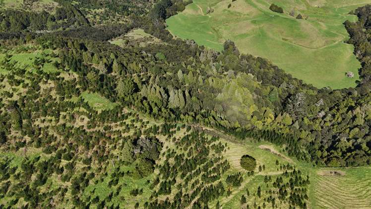 30C Te Ranga Road Kaeo_31