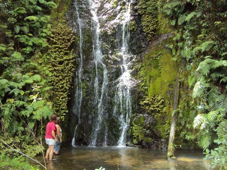 361 Kaiikanui Road Hukerenui and Surrounds_0