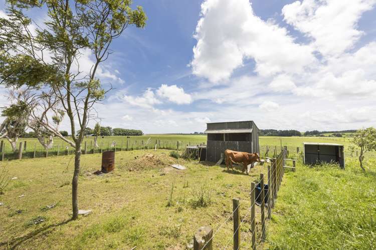 149 Short Road Halcombe_23