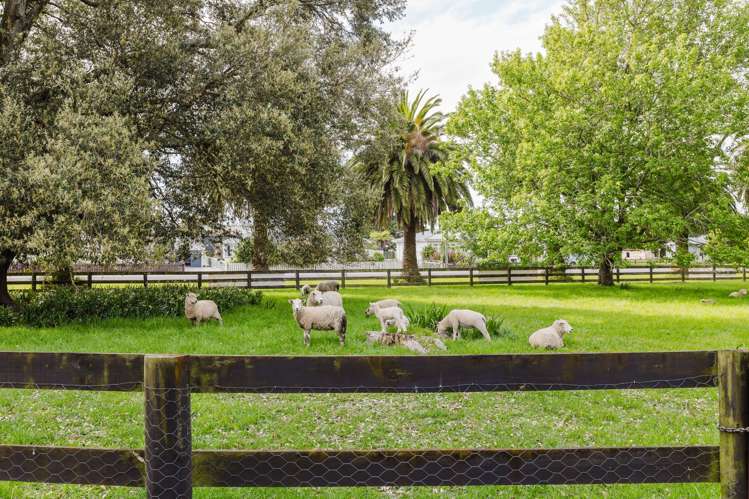 81861 State Highway 2 Pahiatua_48