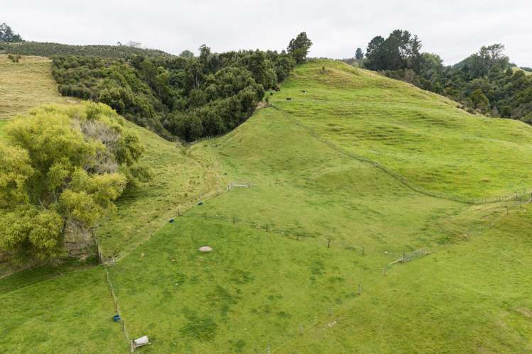 29 Kuku Road Pohangina_43