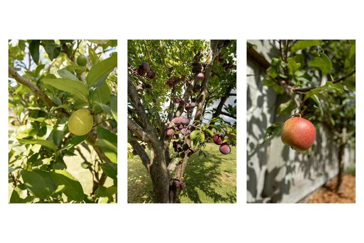 306 Omokoroa Road Omokoroa_33