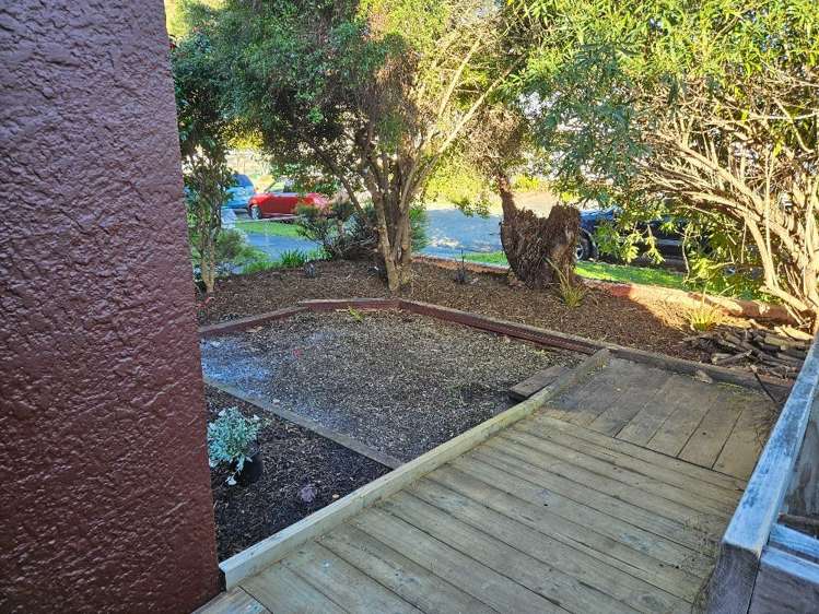 81 Cambria Street The Wood_17