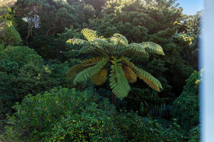 15 Kiriwai Road Paremata_20