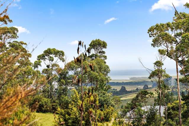 152 West Road Kaukapakapa_3