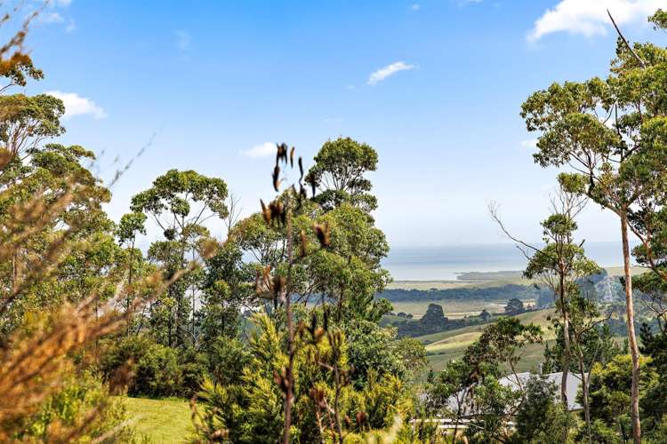 152 West Road Kaukapakapa_3