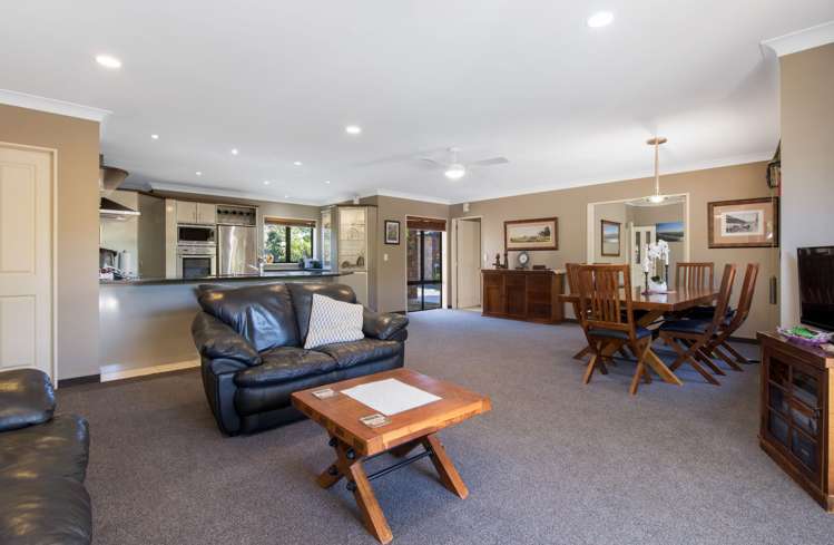 Old Highway Whakamarama_24