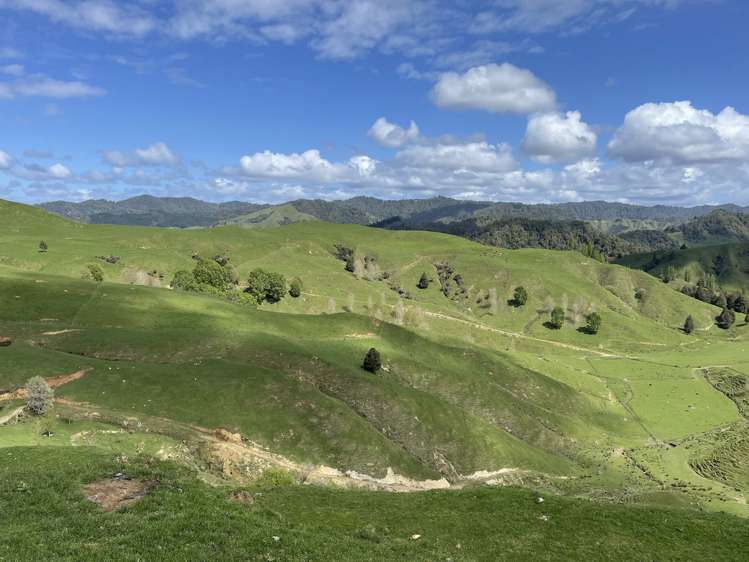 592 Waitewhena Road Ohura_7