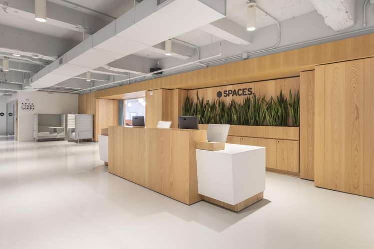 15 Customs Street West Auckland Cbd_8