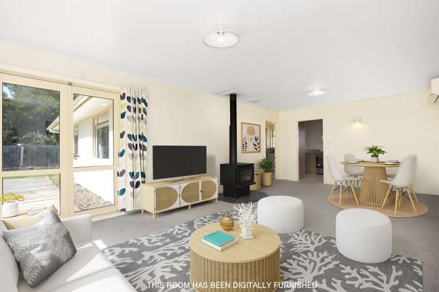 5 Birchside Lane Tinwald_1