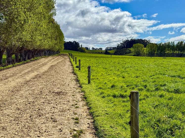 473 Clifden Gorge Road Eastern Bush_3