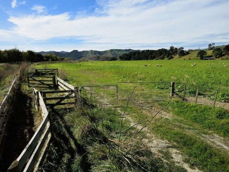 2118 Matawai Road Te Karaka_5