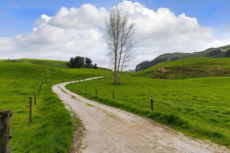 851B Kaahu Road Whakamaru_25