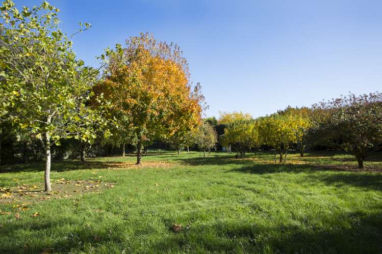 9 Company Road Netherby_16