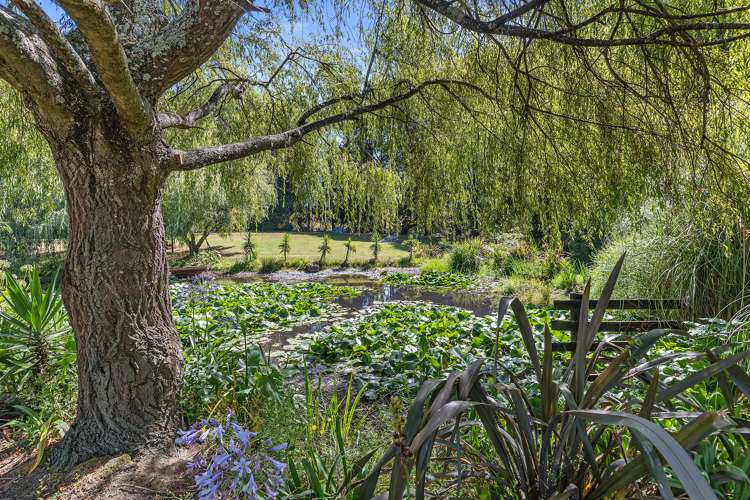 23c Moorfield Road Te Kauwhata_19
