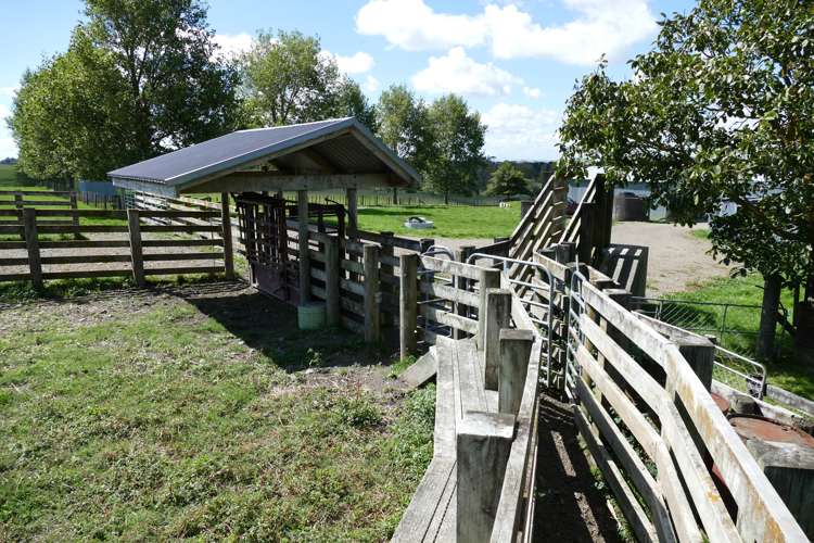 447 Otawhao Road Takapau_8