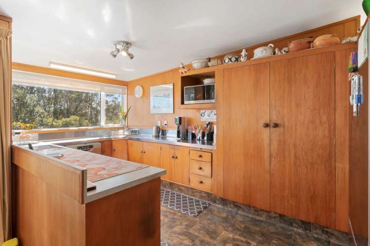 162 Ara-Kotinga Whitford_16