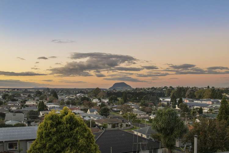 259 Bellevue Road Bellevue_8