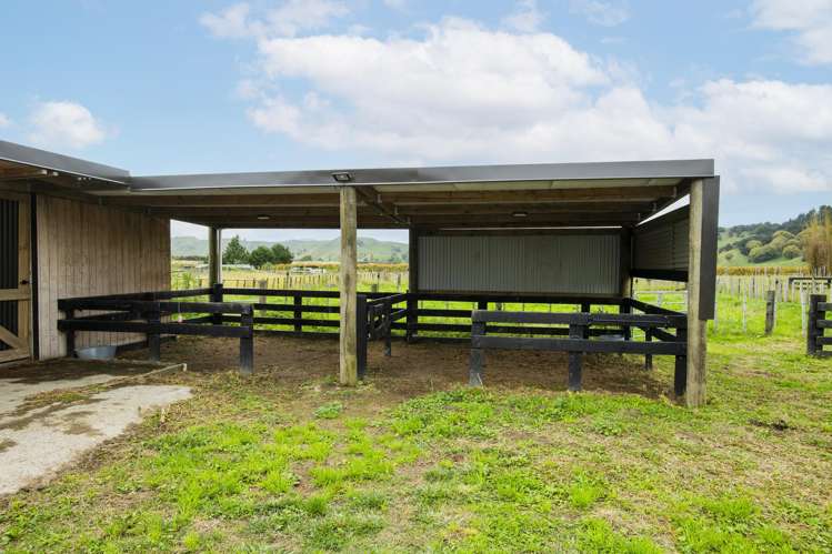 1290 Matawai Road Ormond_14