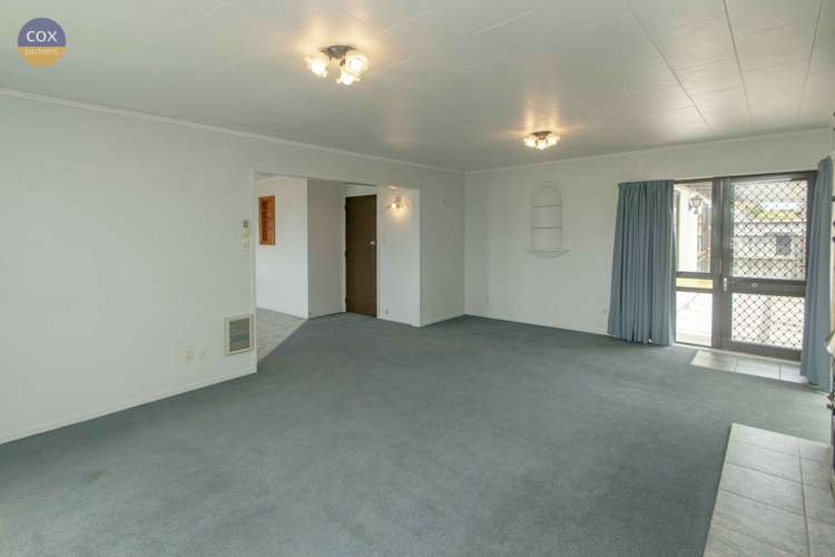 3 Lancaster Street Tamatea_7