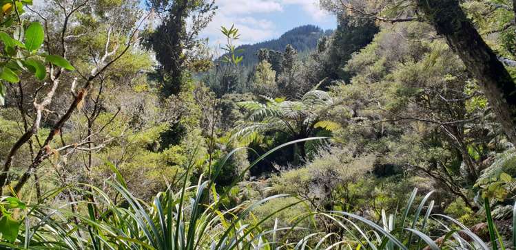 448 Moir Hill Road Warkworth_10