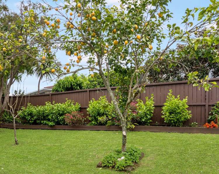 9 Harry Human Heights Meadowbank_9