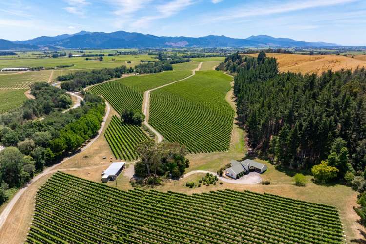 304 Dog Point Road Hawkesbury_6