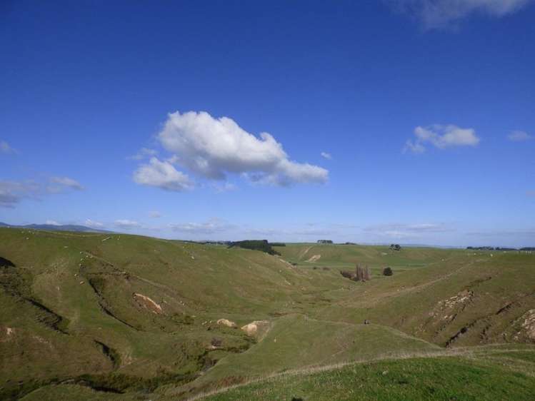 210 Valley Road Bunnythorpe_6