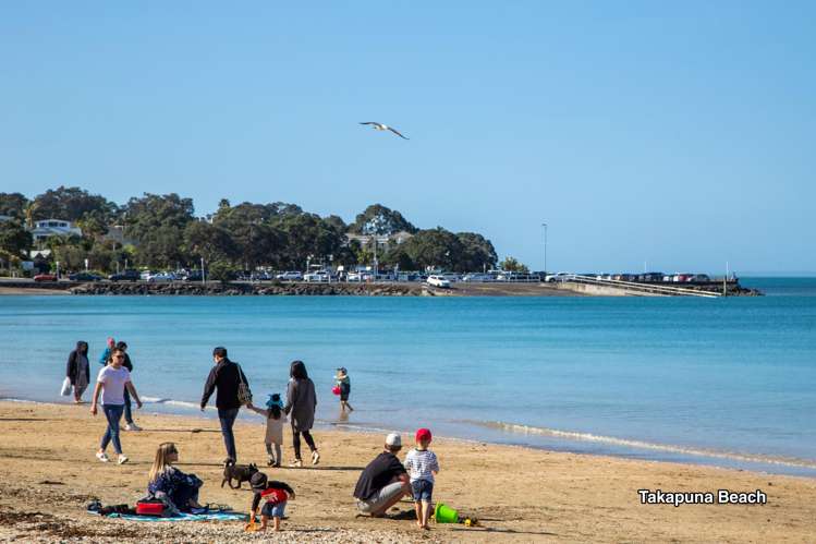 17 Napier Avenue Takapuna_30