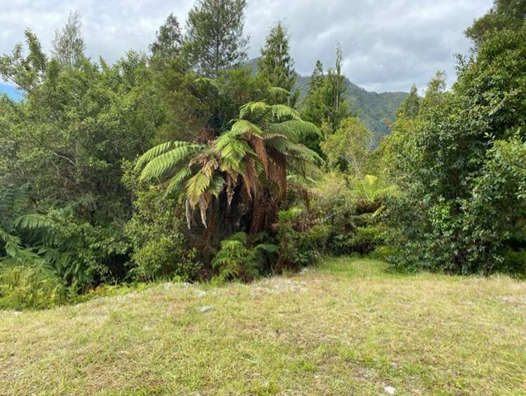 5 Mokihinui Preserve Seddonville_10