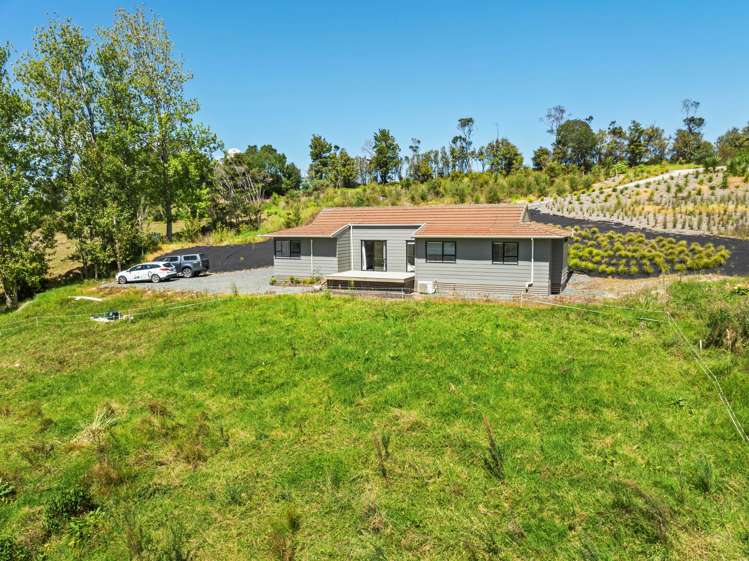 160 King Road Mangawhai_26