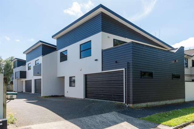 44a Willoughby Street Whitiora_1