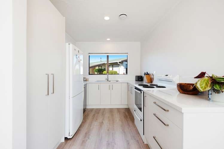 4 Broadbelt Grove Levin_8