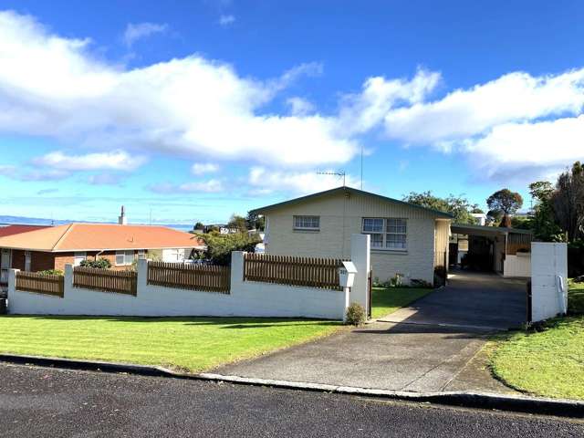 207 Reservoir Road Thames_1