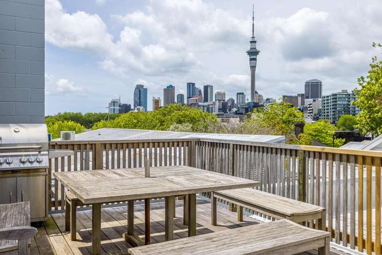 37-39 Ireland Street Freemans Bay_15